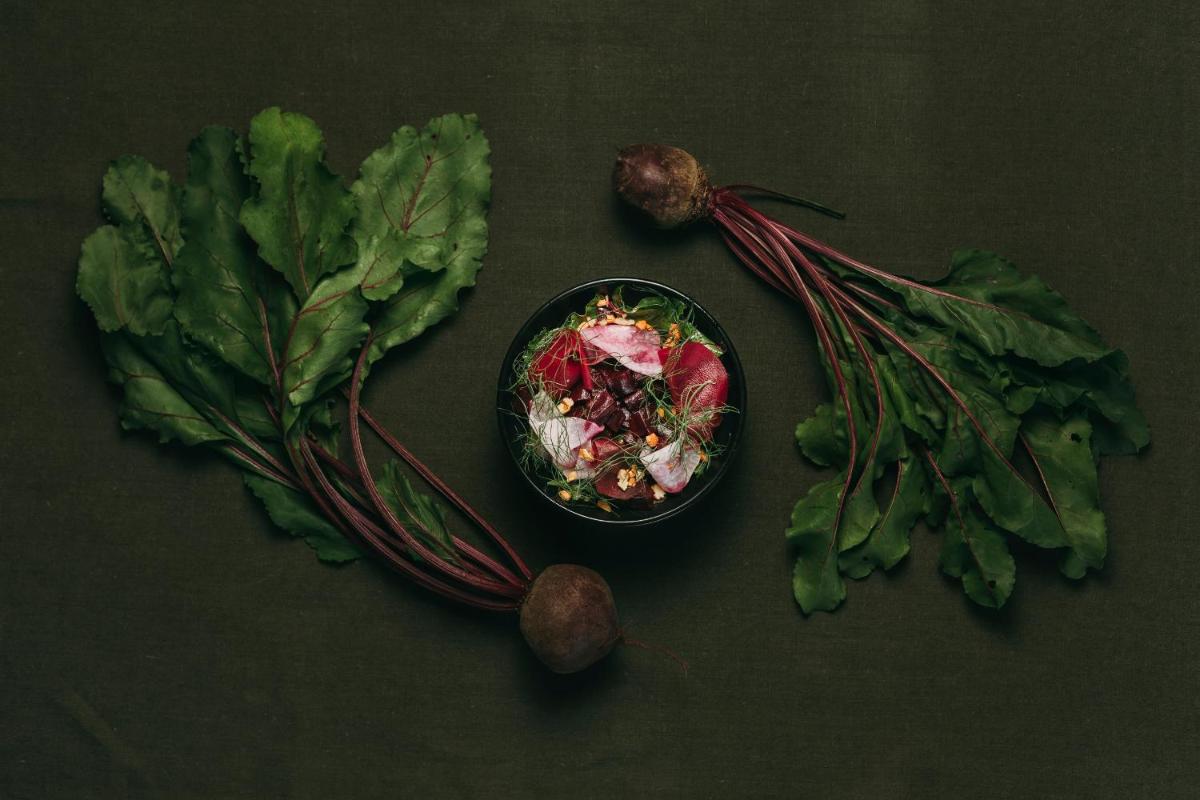 Santa Barbara Eco-Beach Resort