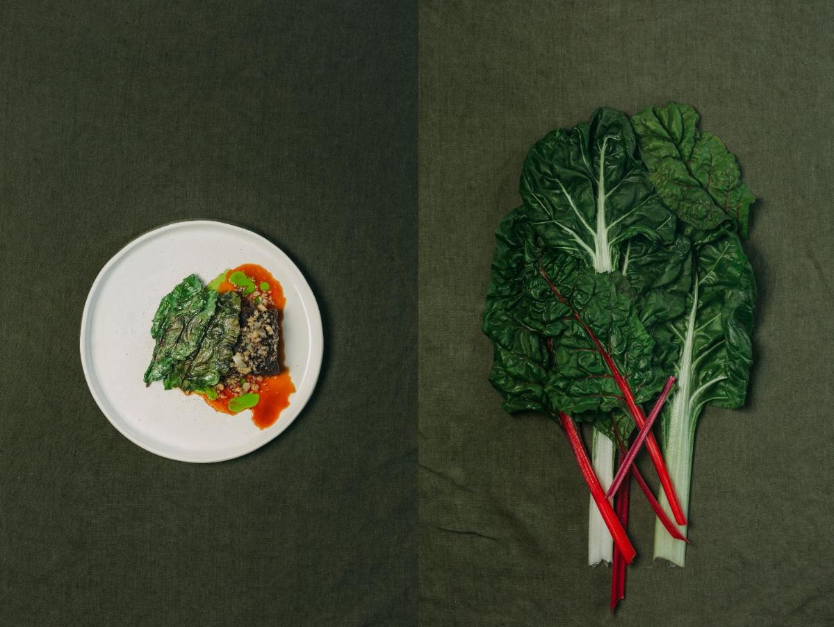 Santa Barbara Eco-Beach Resort