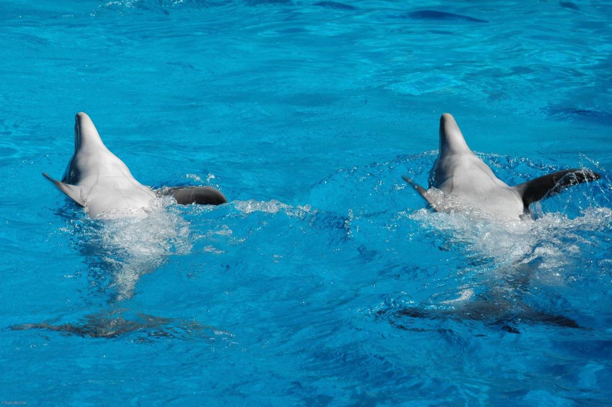 Kimpton Atlantico Algarve by IHG