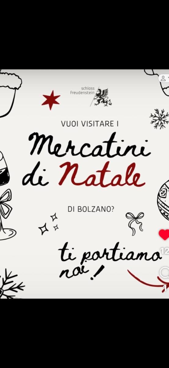 Schloss Freudenstein