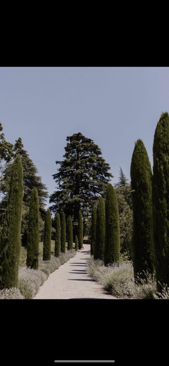 Schloss Freudenstein