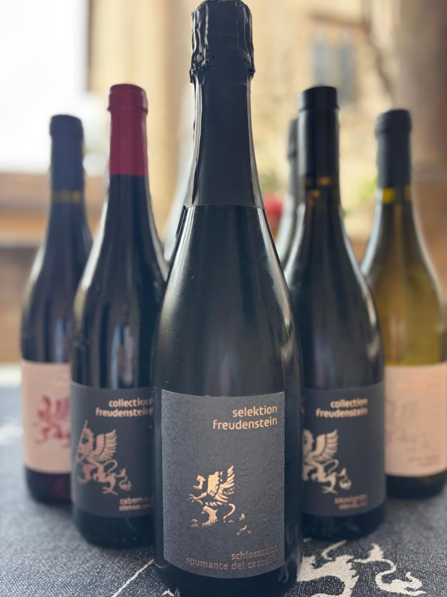 Schloss Freudenstein