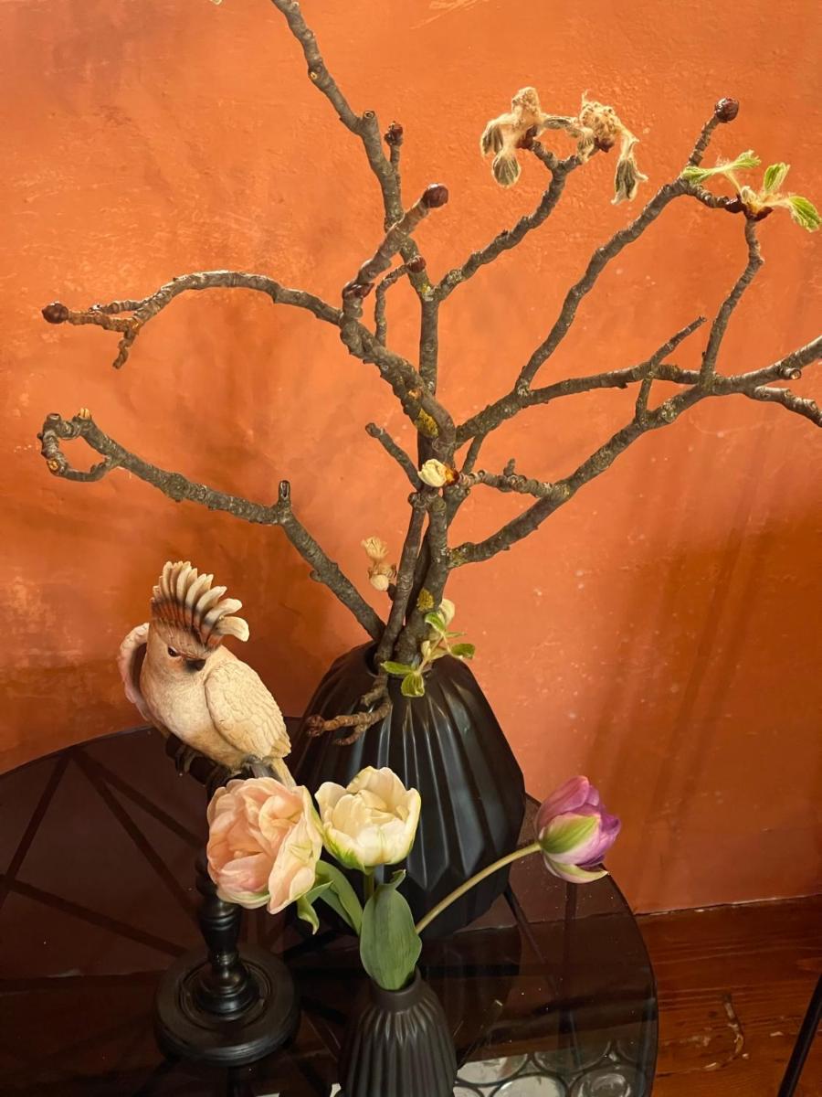 Schloss Freudenstein