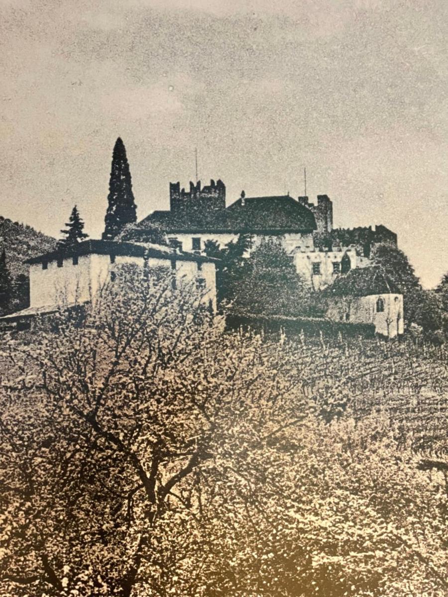 Schloss Freudenstein