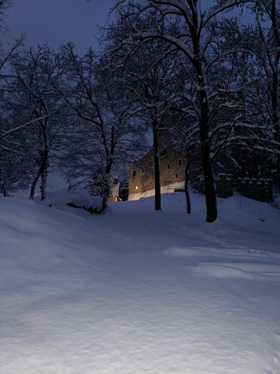 Schloss Freudenstein