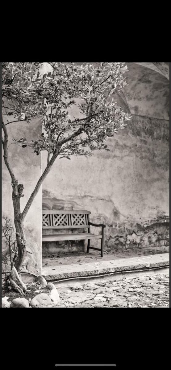 Schloss Freudenstein