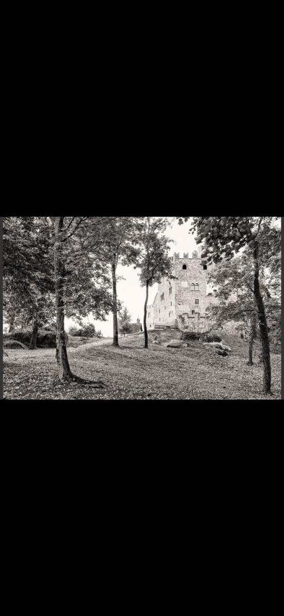 Schloss Freudenstein