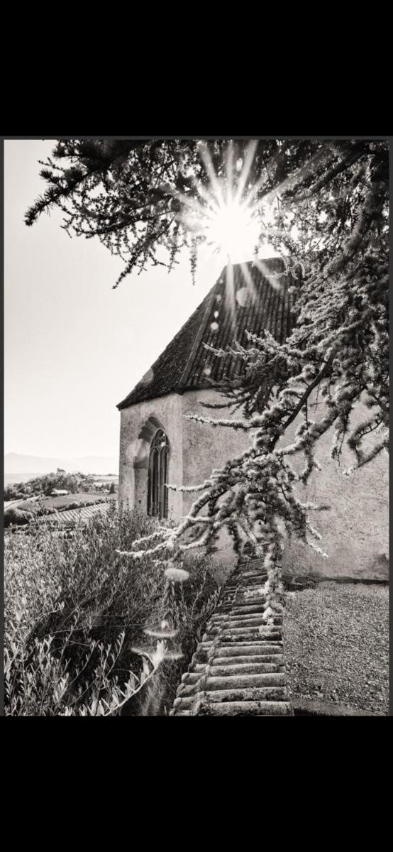 Schloss Freudenstein