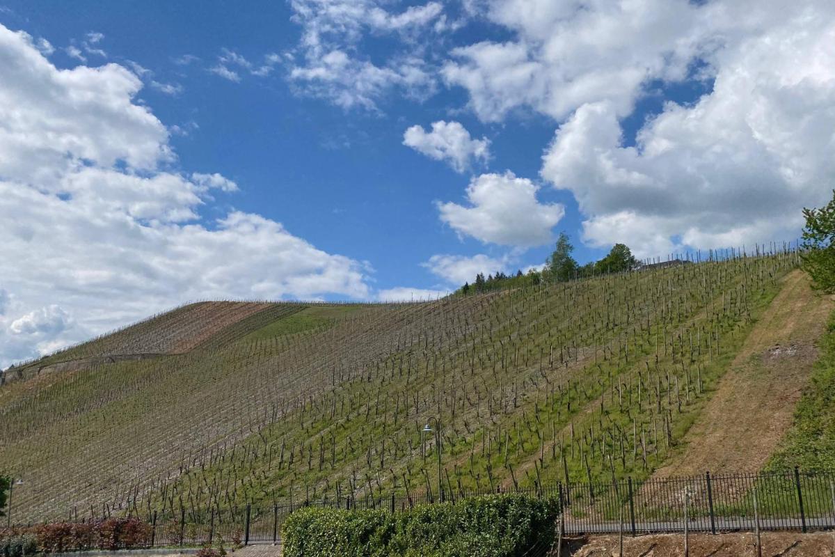 Schloss Lieser, Autograph Collection