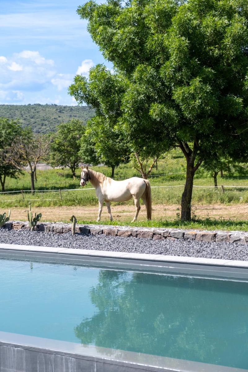 Scorzamara Country Lodges - Retreats with Private Pool or Jacuzzi