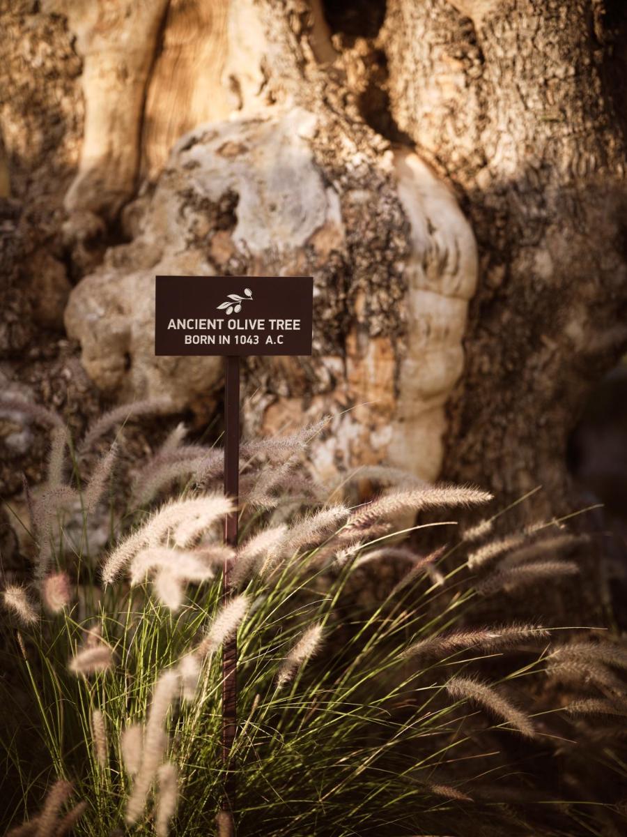 Seaside A Lifestyle Resort - Adults Only