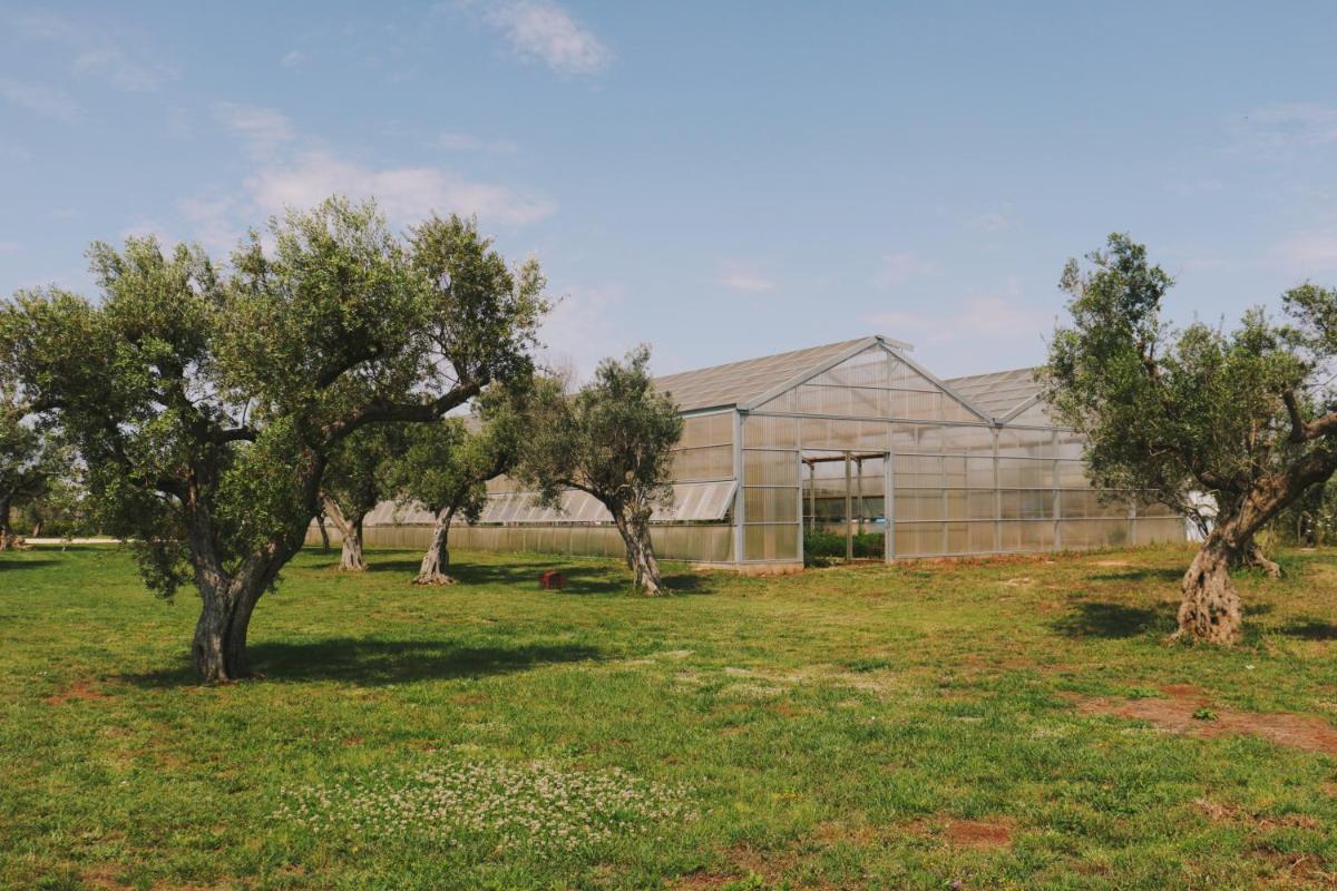 Secolario Masseria del Viverbene
