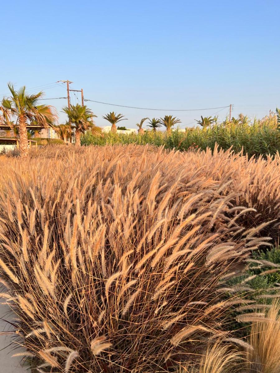 Seesoo Paros Beachfront Resort