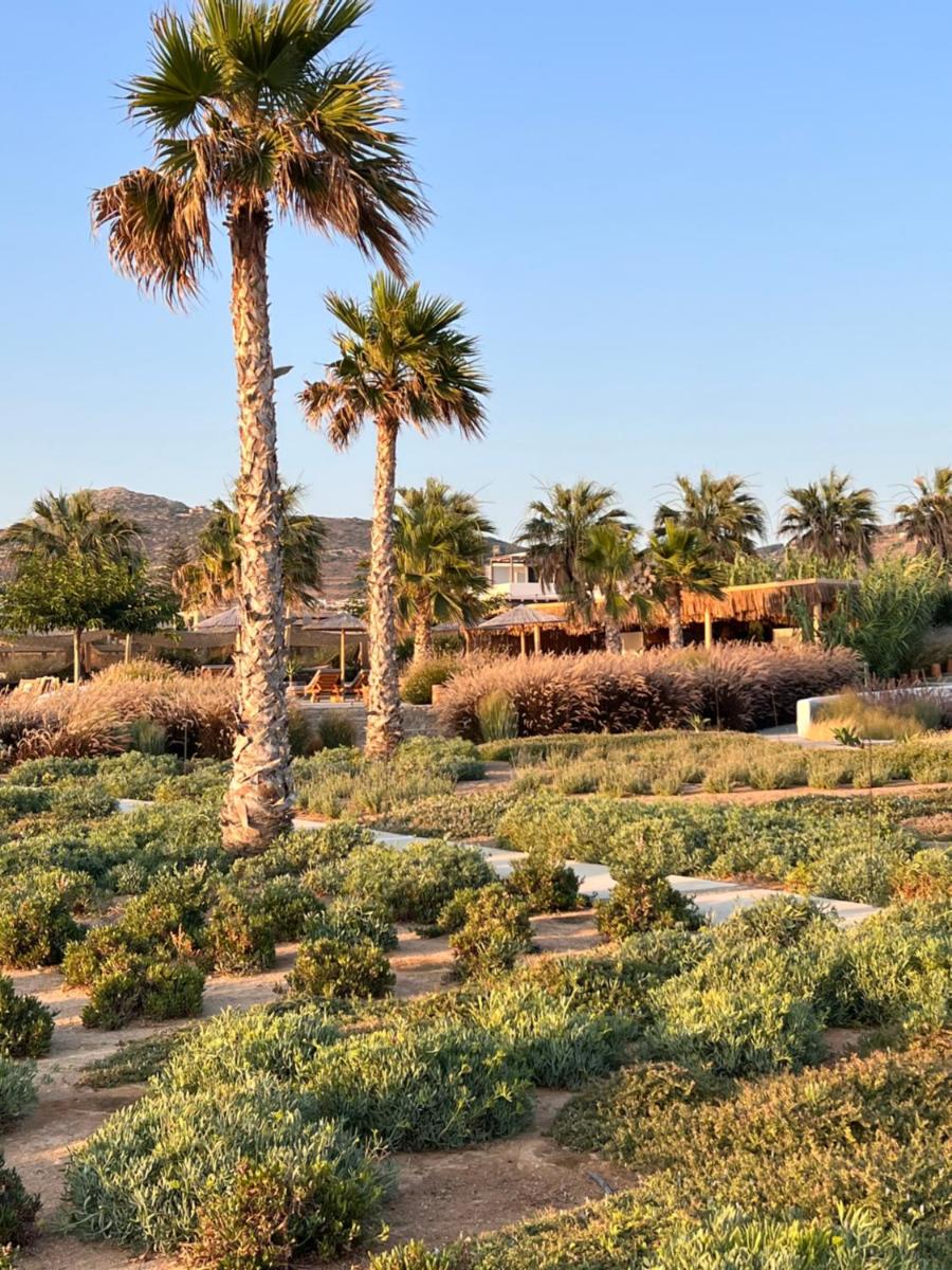 Seesoo Paros Beachfront Luxury Hideaway