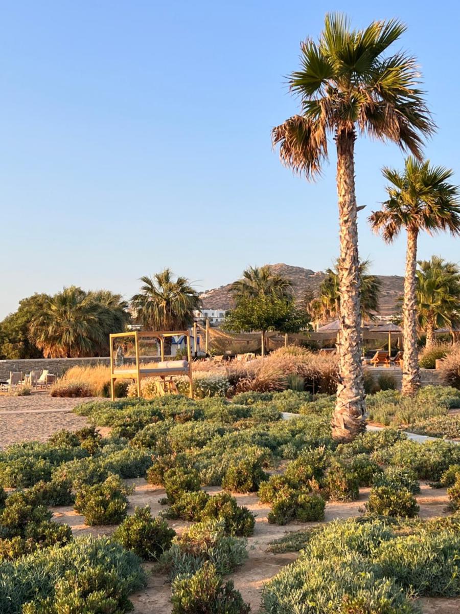 Seesoo Paros Beachfront Luxury Hideaway