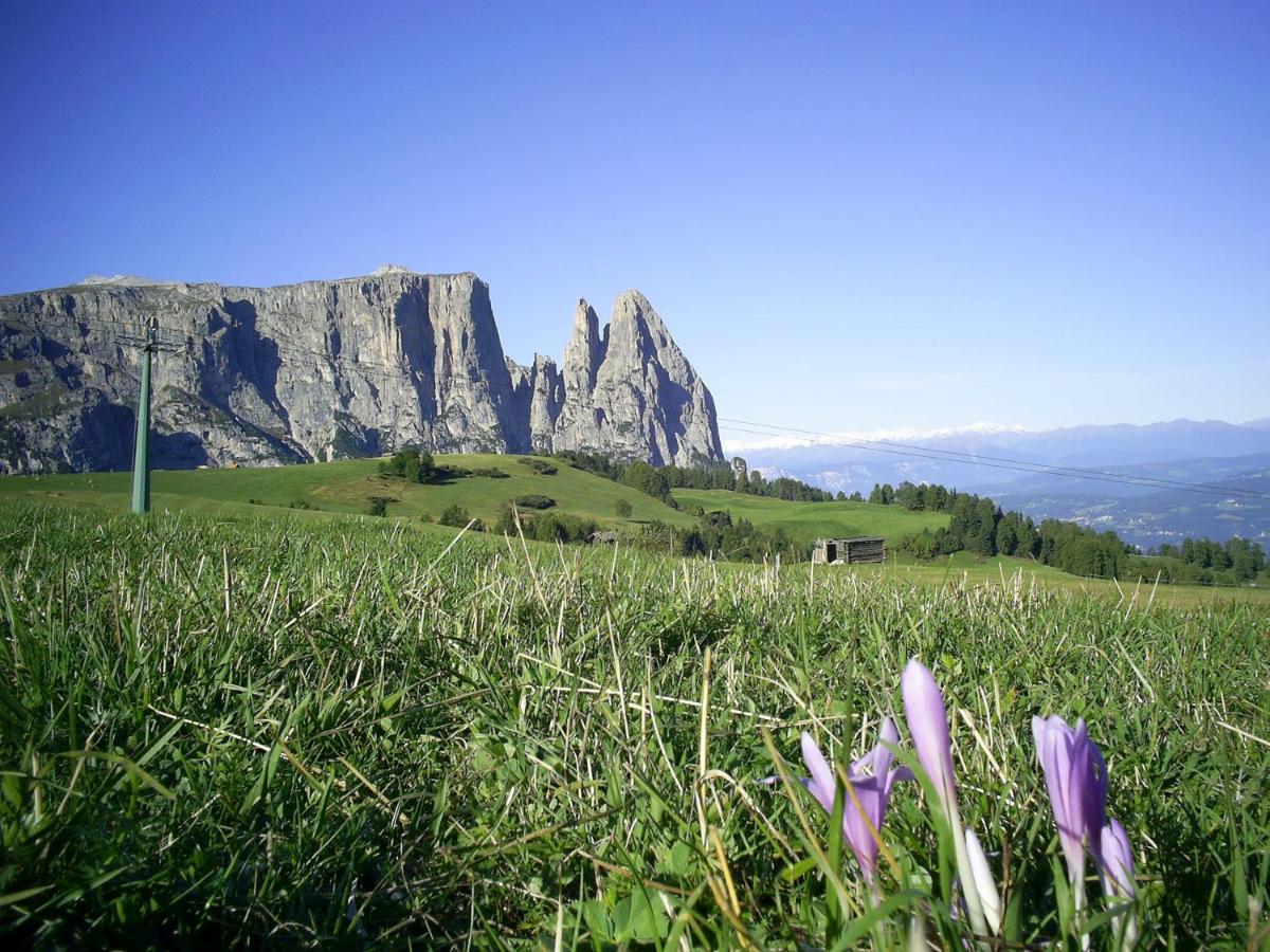 Seiser Alm Urthaler