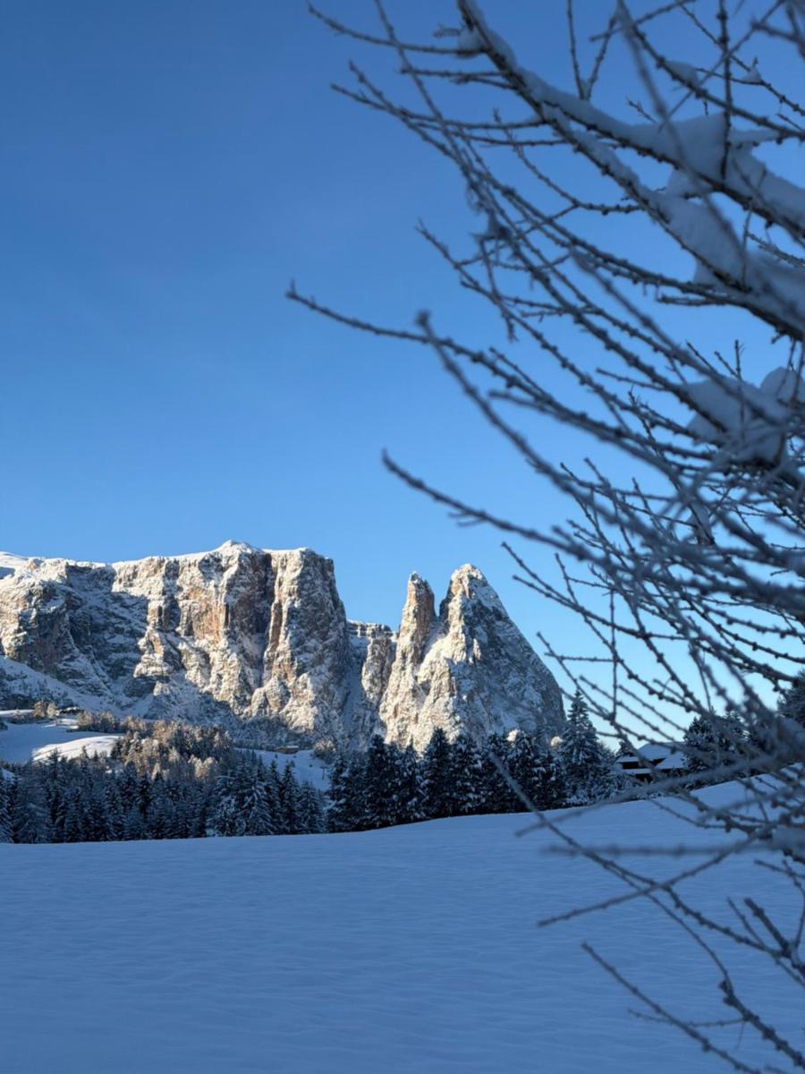 Seiser Alm Urthaler
