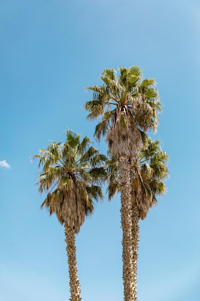 Sella&Mosca Casa Villamarina