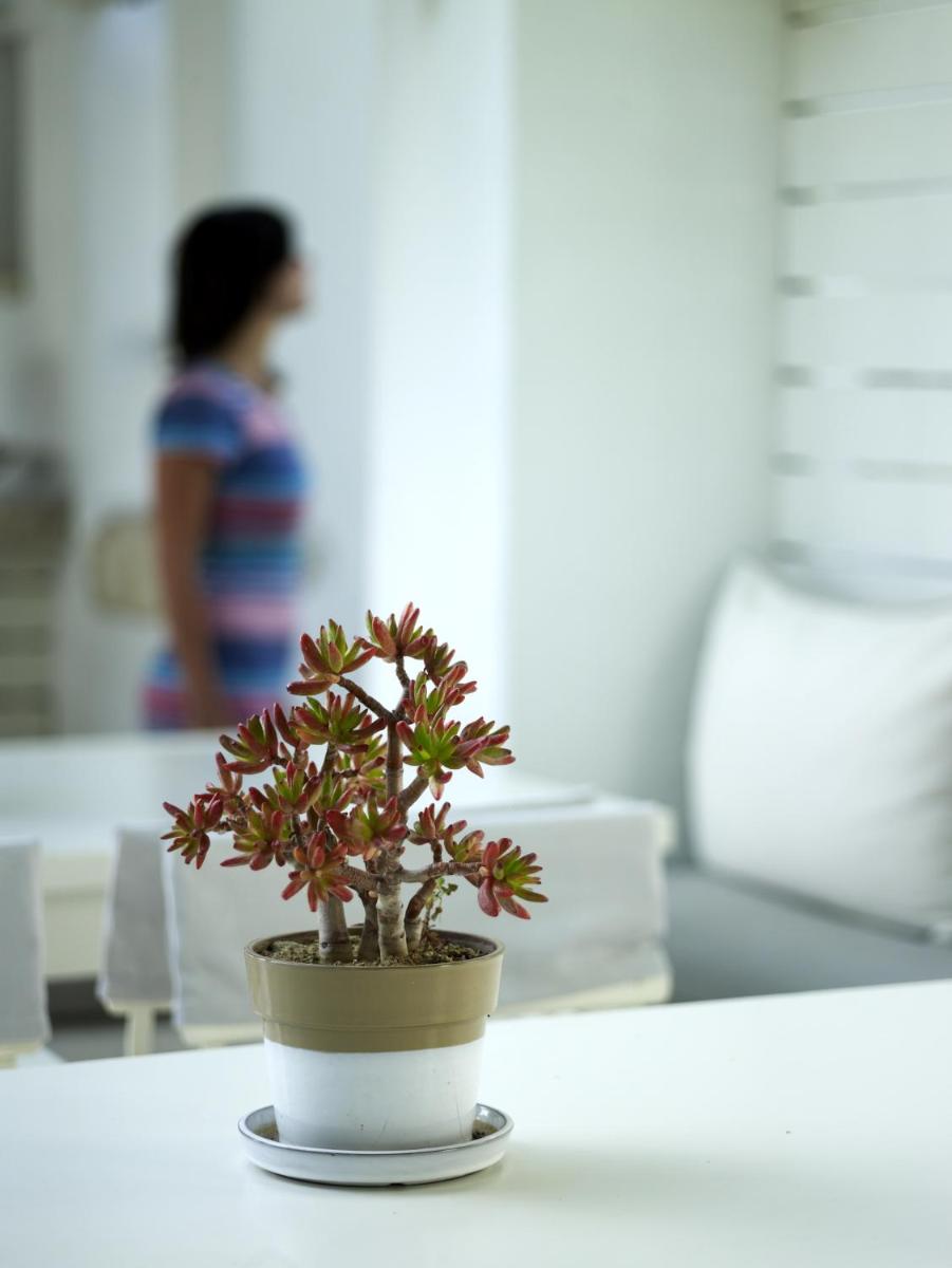 Semeli Hotel Mykonos