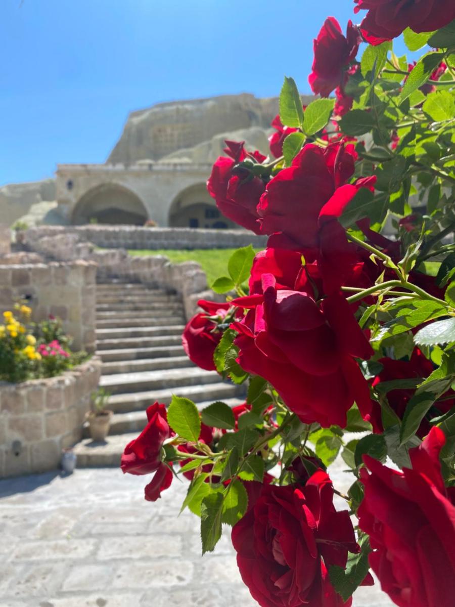 Seraphim Cave Suites & SPA