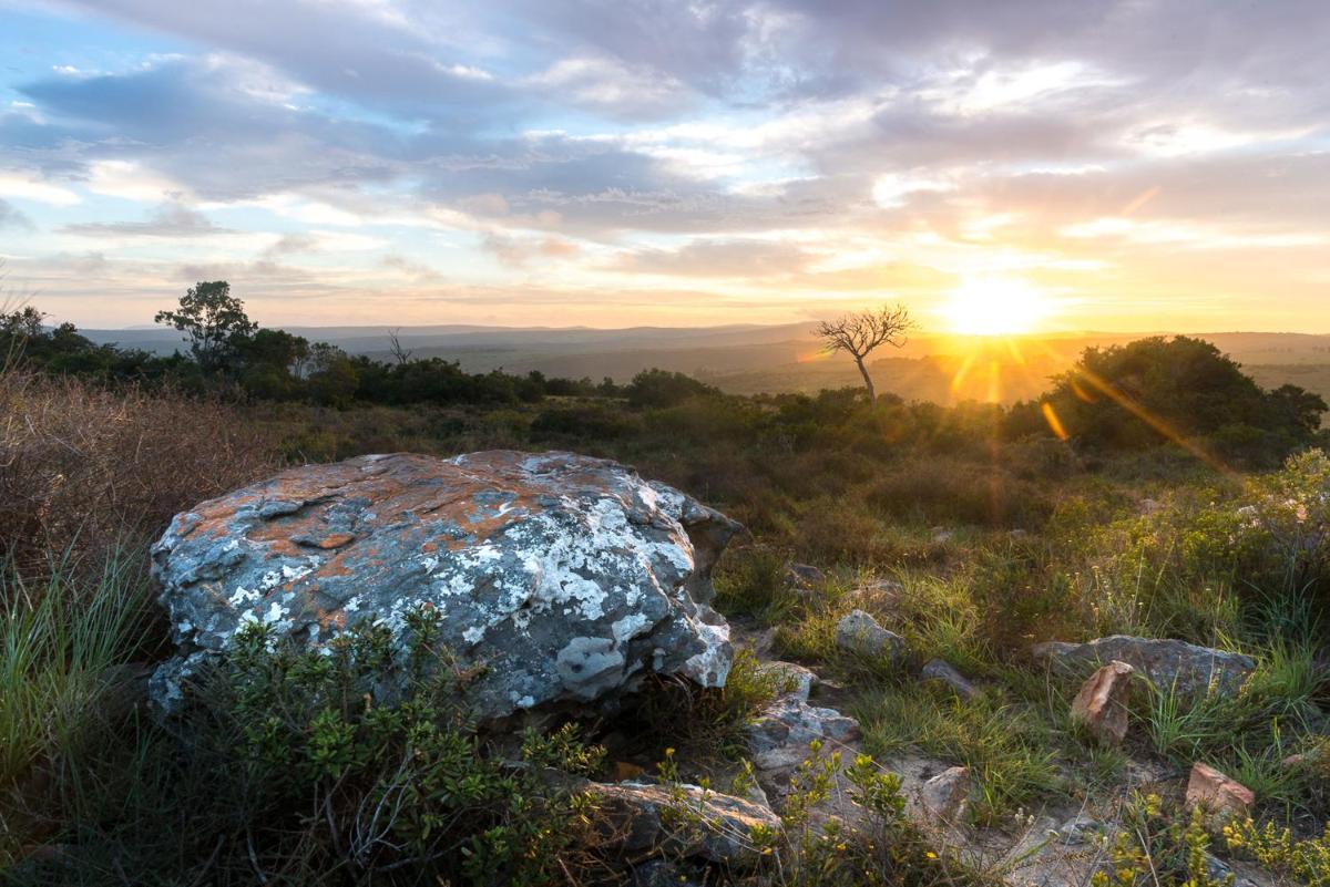 Shamwari Long Lee Manor