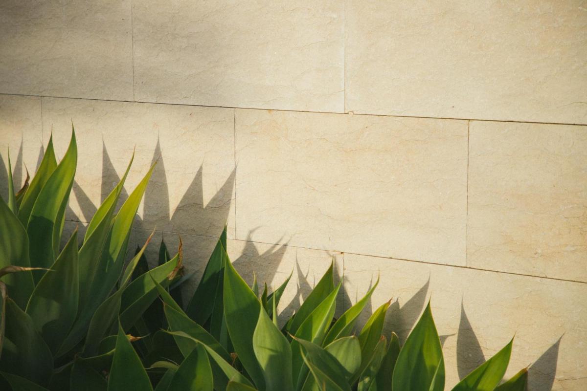 Salobre Hotel Resort & Serenity