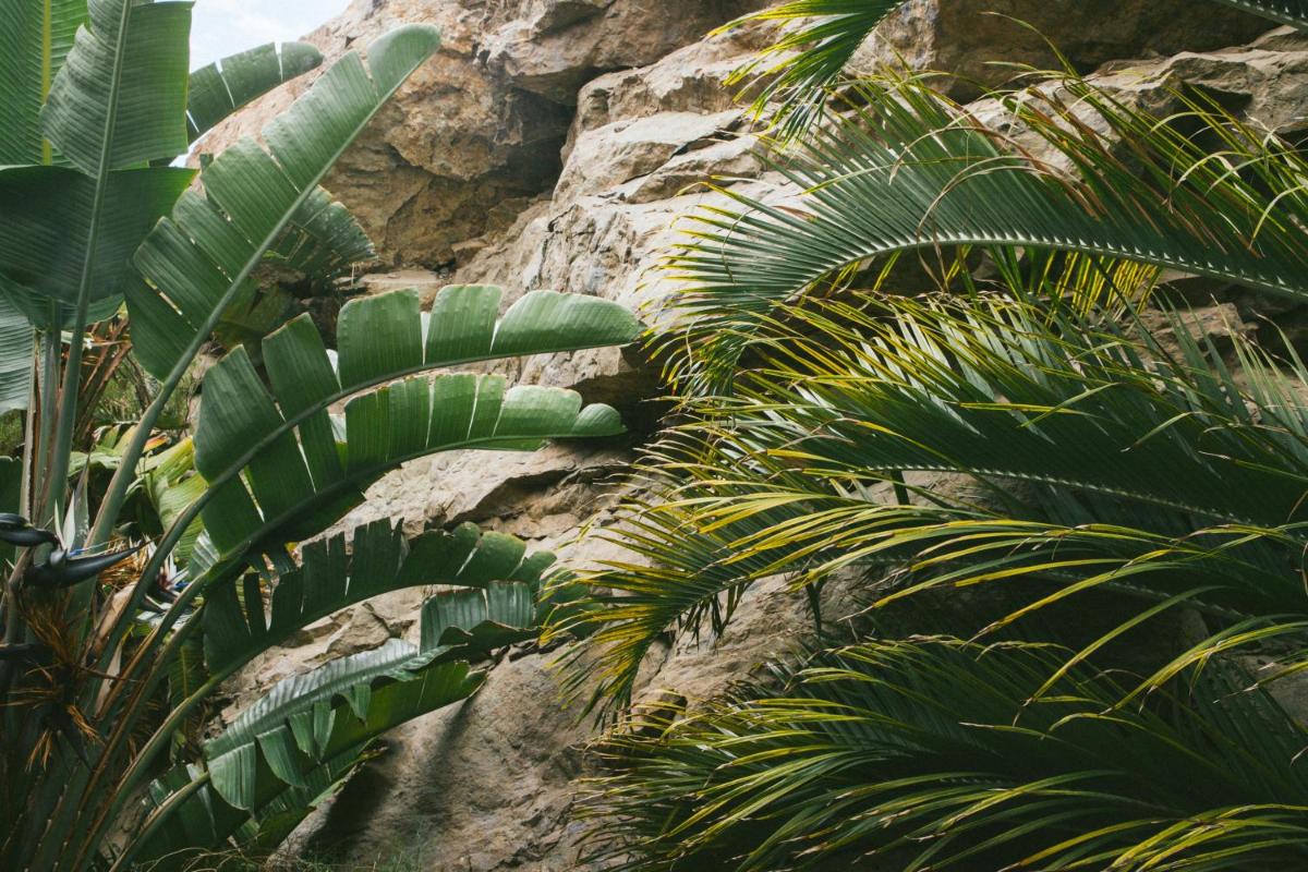 Salobre Hotel Resort & Serenity