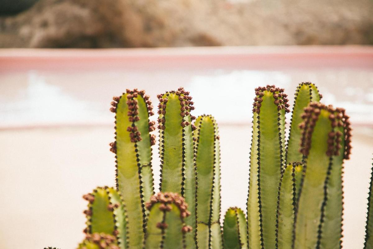 Salobre Hotel Resort & Serenity