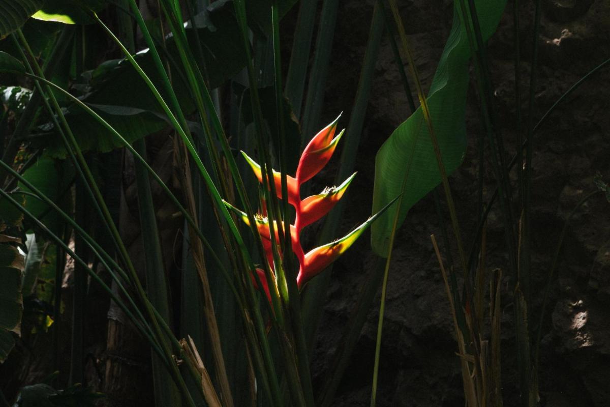 Salobre Hotel Resort & Serenity