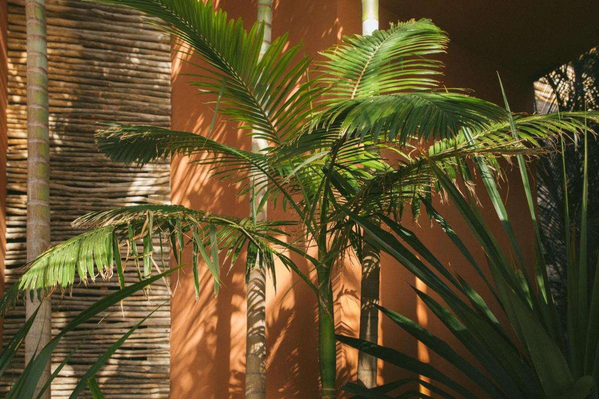 Salobre Hotel Resort & Serenity