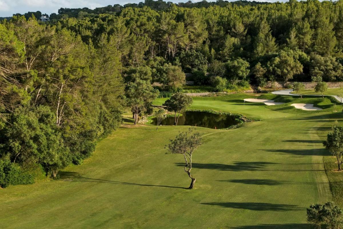 Sheraton Mallorca Arabella Golf Hotel