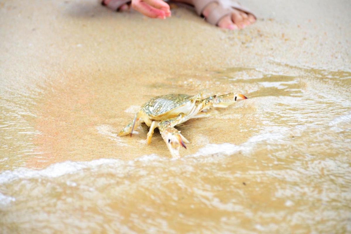 Sheraton Samui Resort