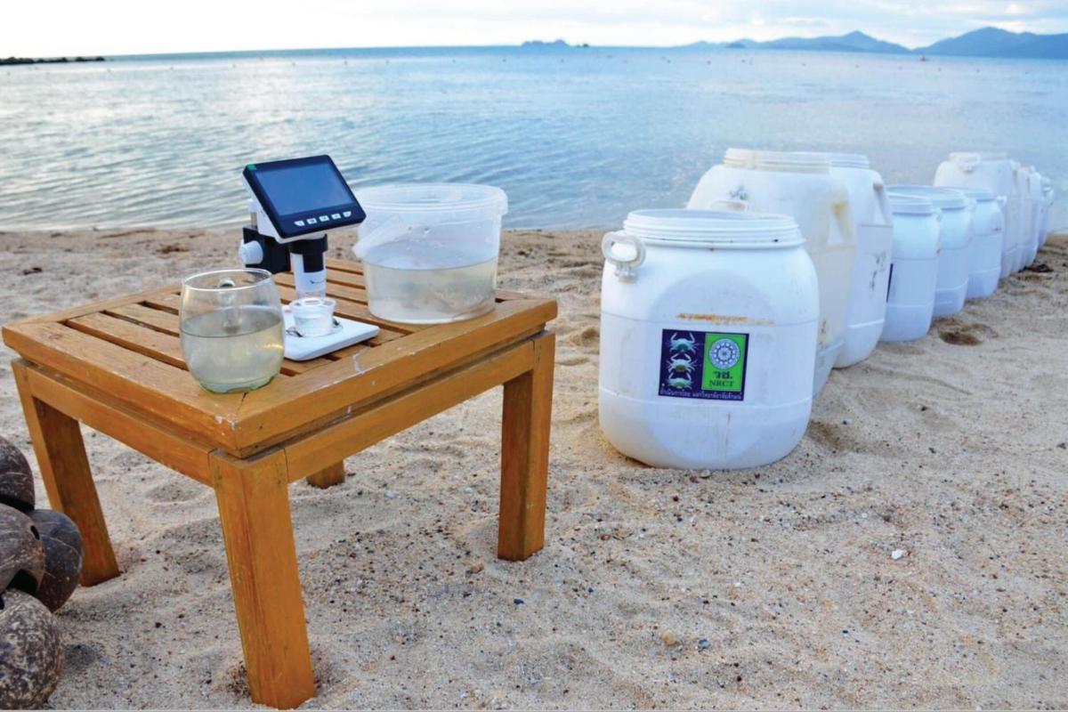 Sheraton Samui Resort