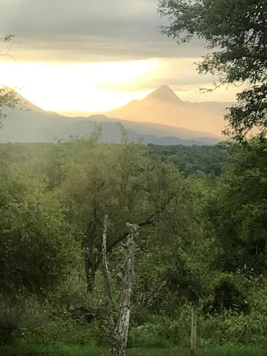 Karongwe- Shiduli Safari Lodge
