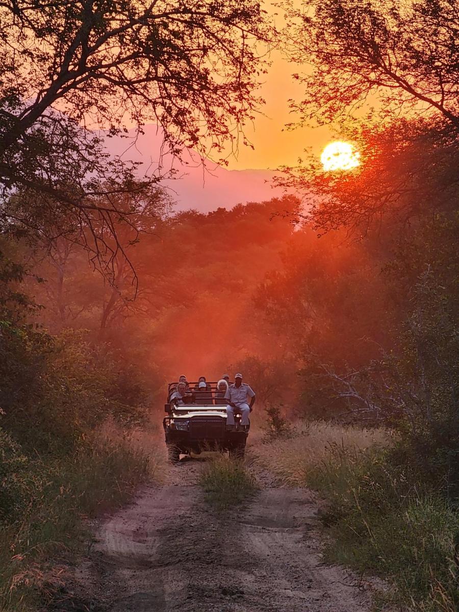 Karongwe- Shiduli Safari Lodge