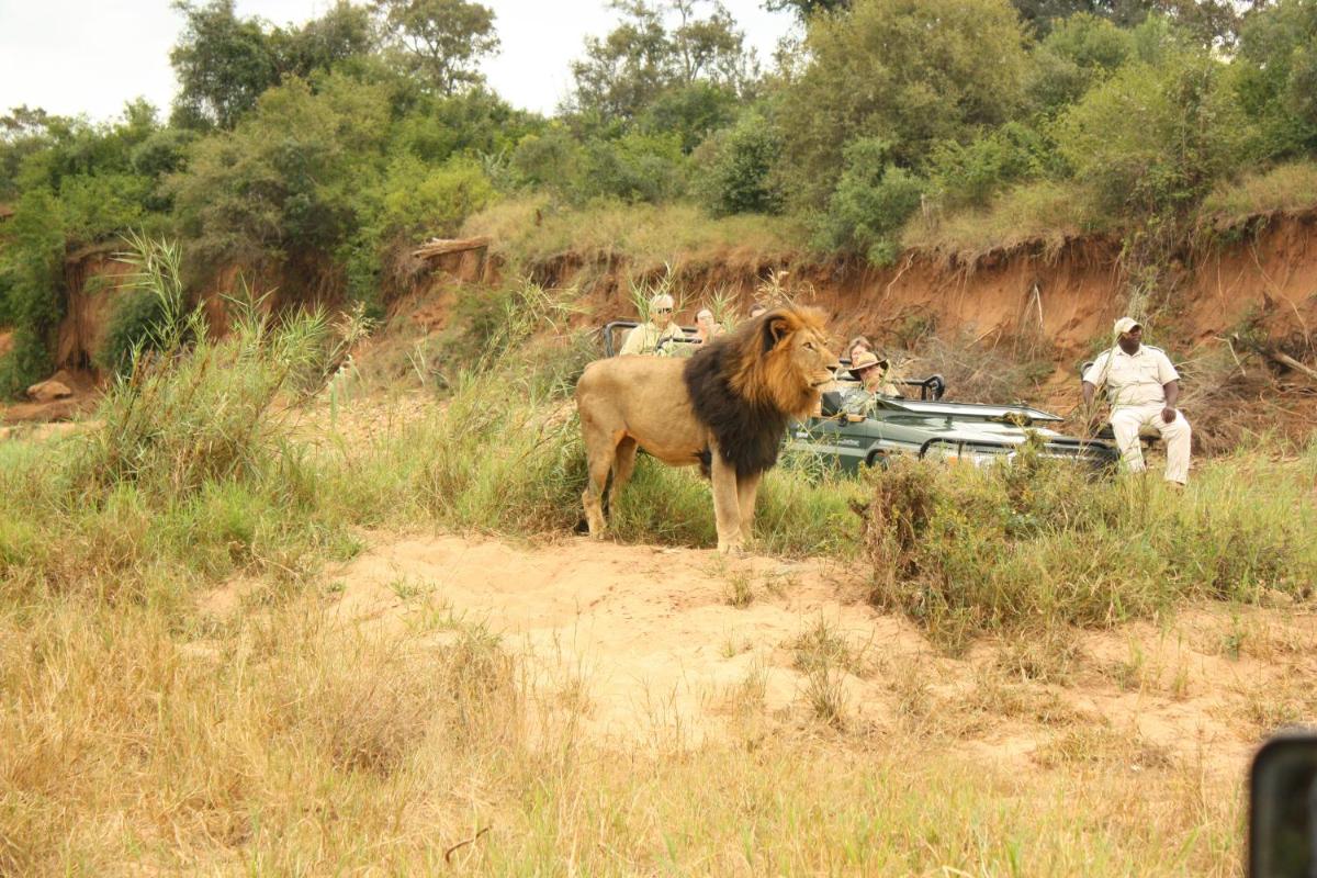 Karongwe- Shiduli Safari Lodge