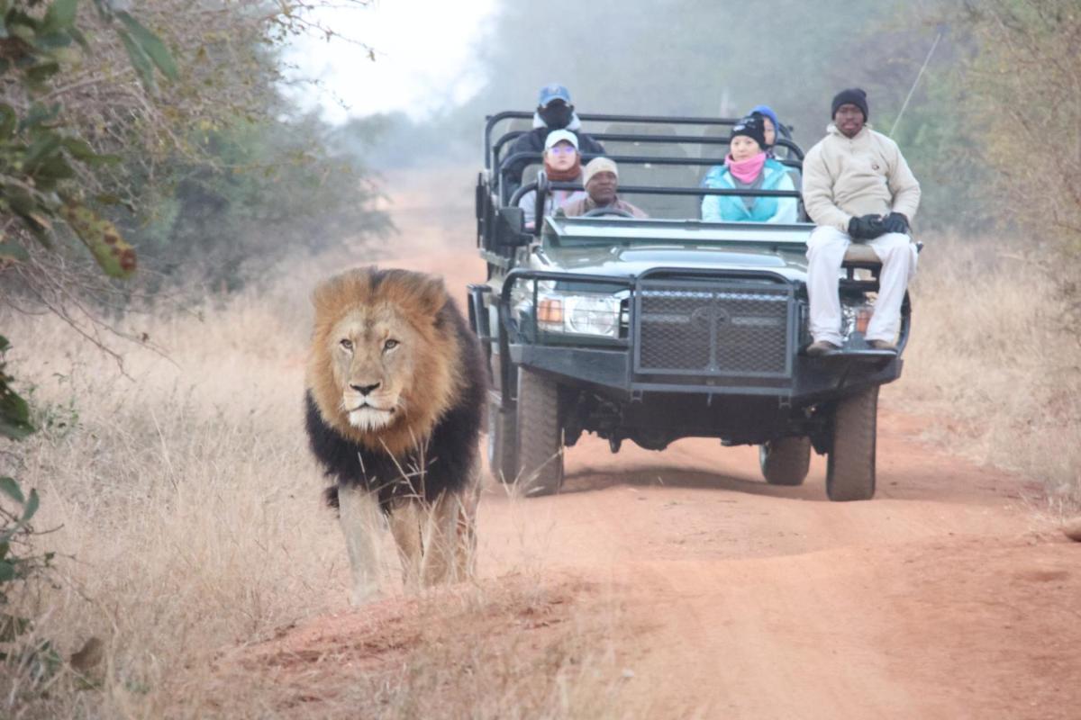 Karongwe- Shiduli Safari Lodge