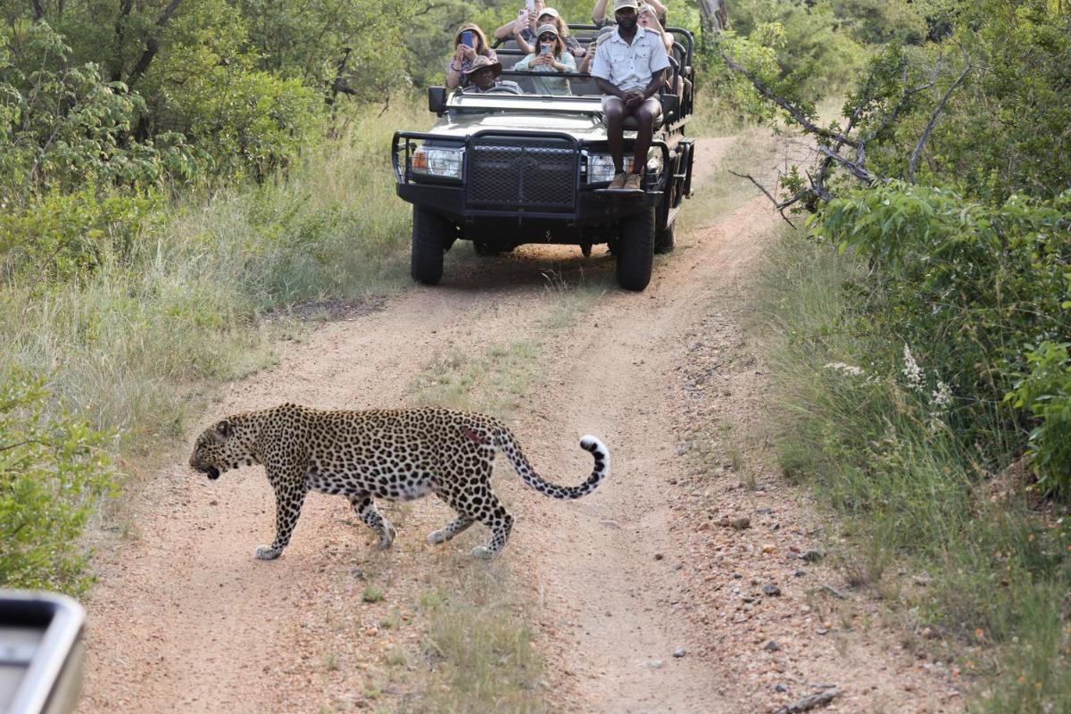 Karongwe- Shiduli Safari Lodge
