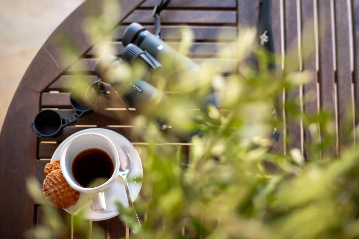 Karongwe- Shiduli Safari Lodge