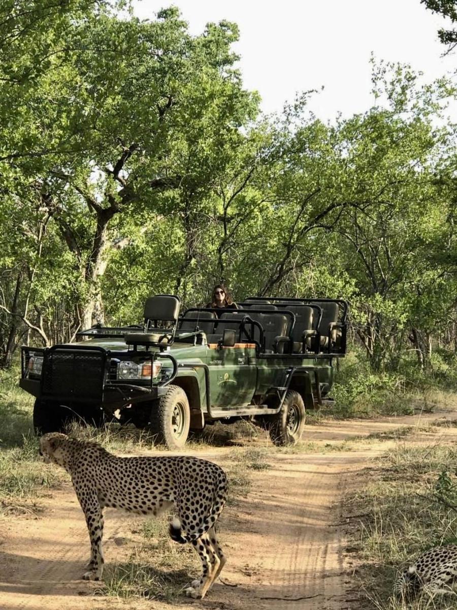 Karongwe- Shiduli Safari Lodge