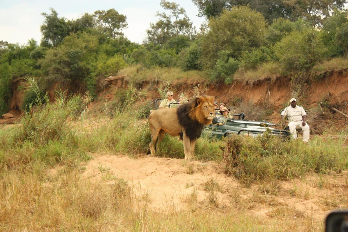 Karongwe- Shiduli Safari Lodge