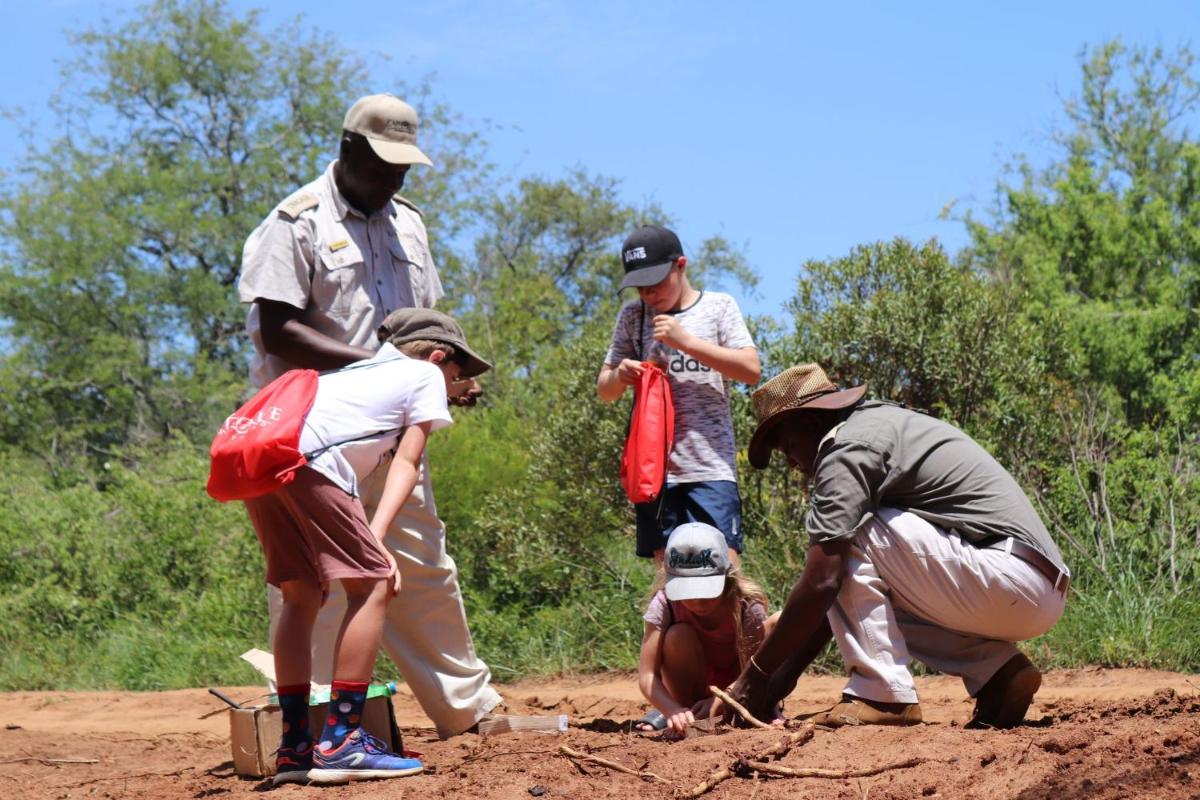 Karongwe- Shiduli Safari Lodge