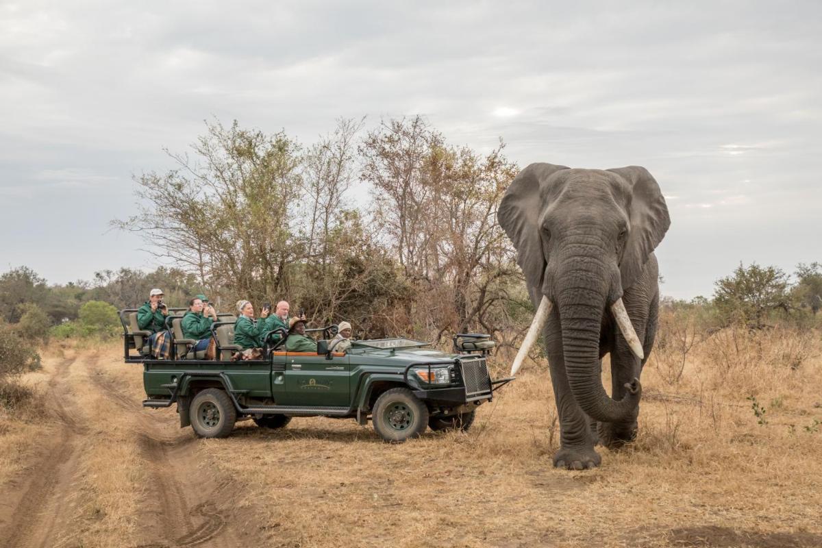 Karongwe- Shiduli Safari Lodge