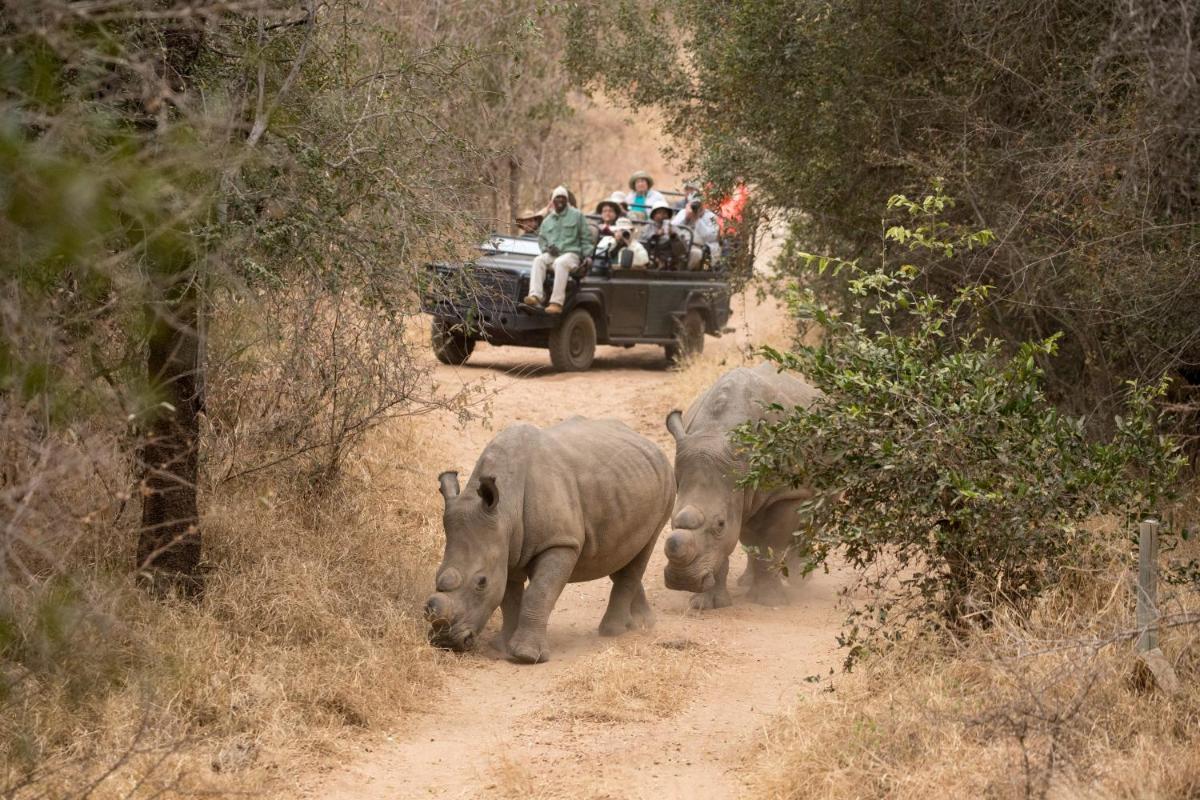 Karongwe- Shiduli Safari Lodge
