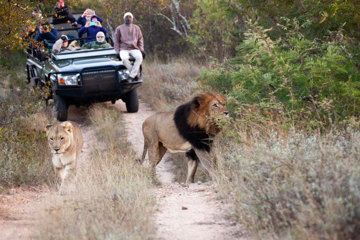 Karongwe- Shiduli Safari Lodge