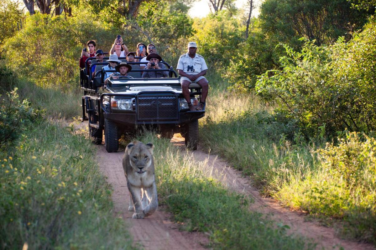 Karongwe- Shiduli Safari Lodge