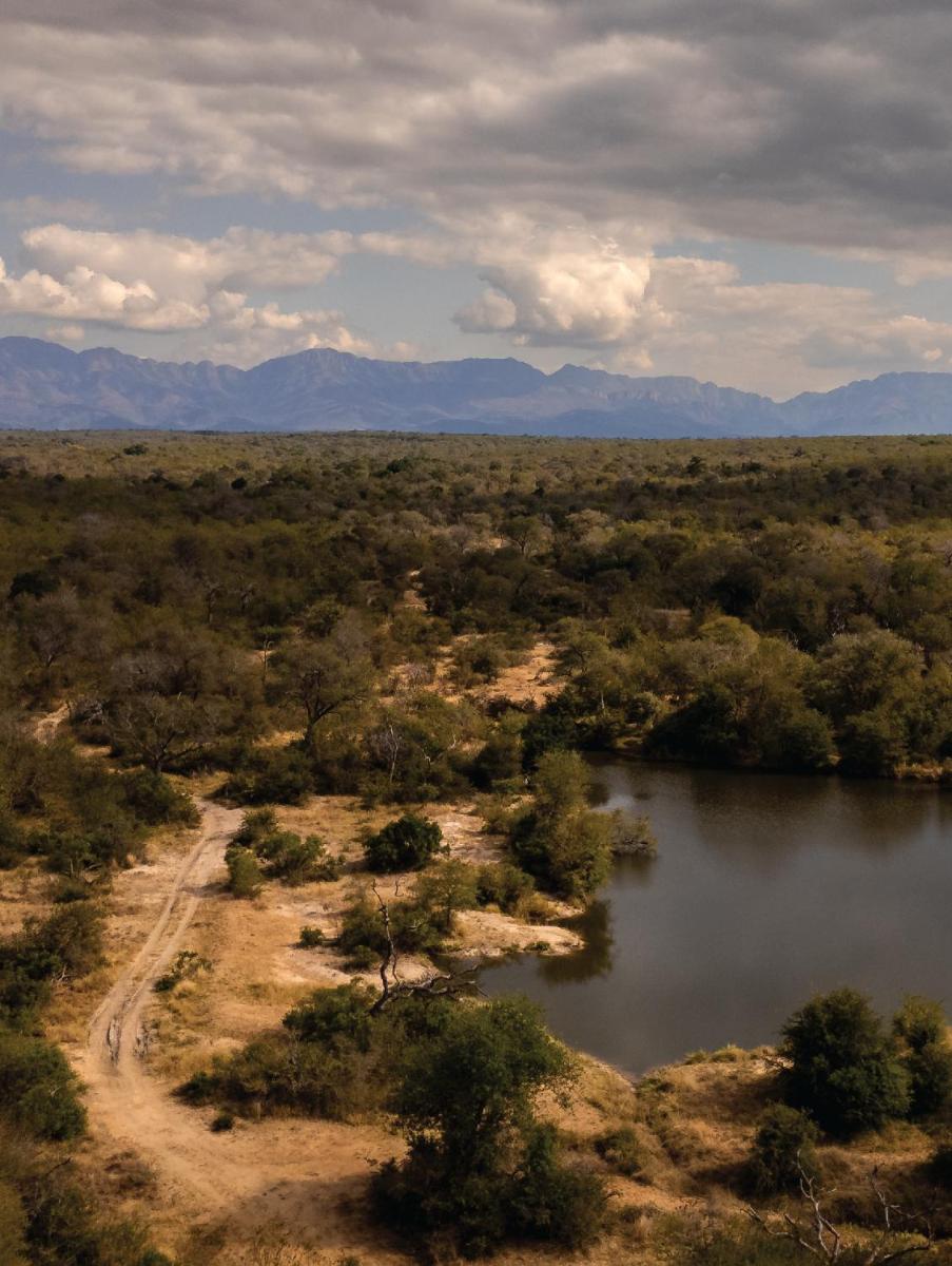 Karongwe- Shiduli Safari Lodge