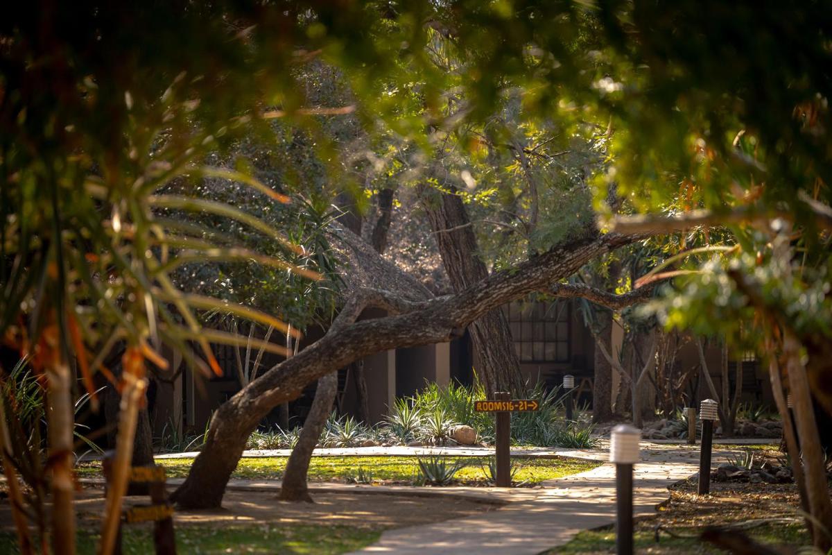 Karongwe- Shiduli Safari Lodge