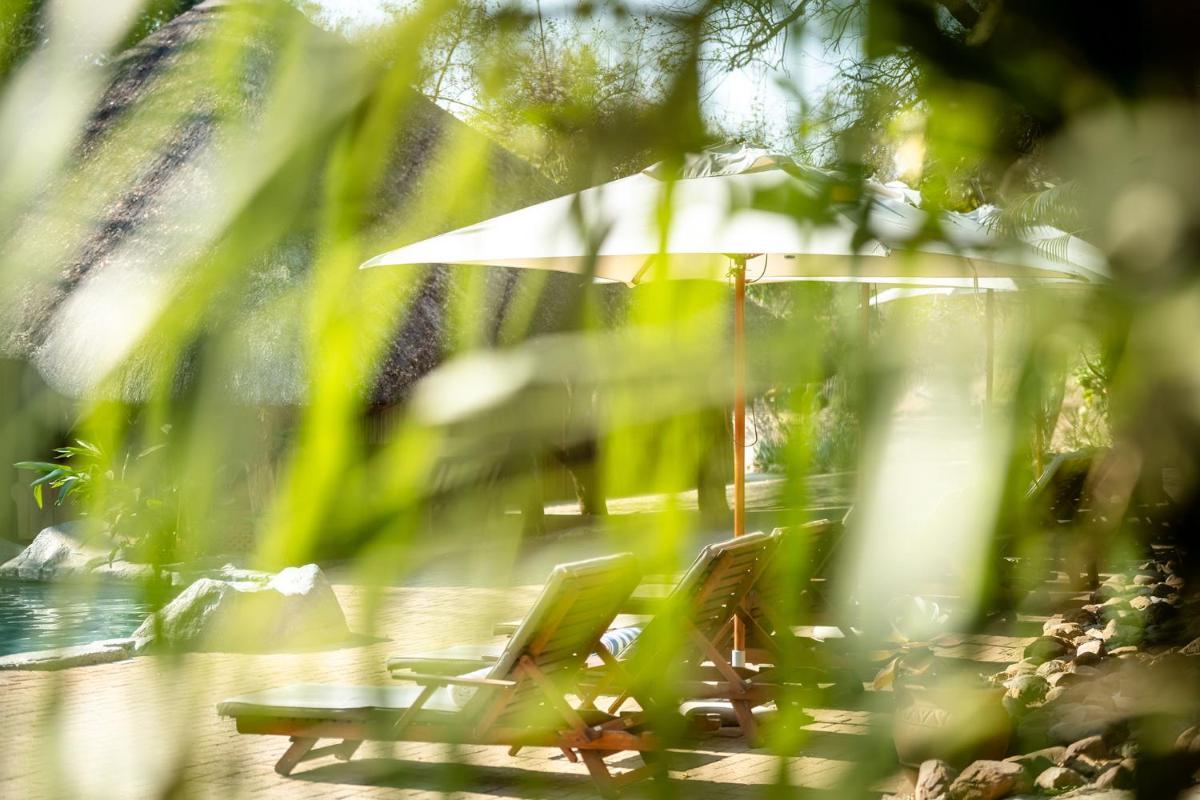 Karongwe- Shiduli Safari Lodge