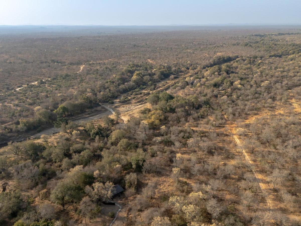 Karongwe- Shiduli Safari Lodge